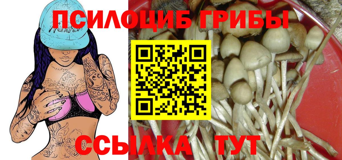 Шебекино  продажа наркотиков  Вход с VPN  Галлюциногенные грибы Magic Shrooms  Галлюциногенные грибы Cubensis 